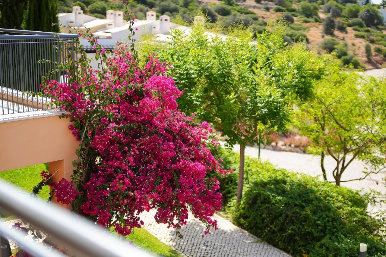 Vale Da Ribeira , Country View And Pool Apartment